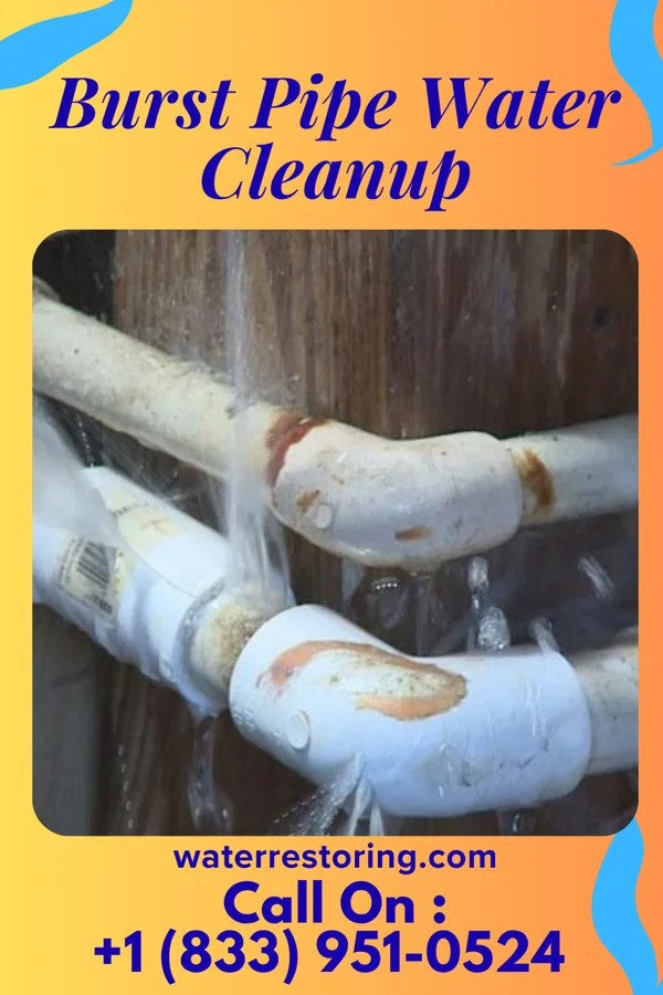 Burst Pipe Water Cleanup in Grafton, OH