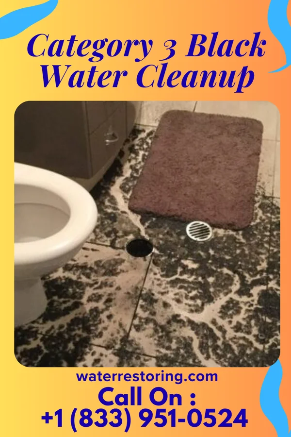 Category 3 Black Water Cleanup in Grafton, OH