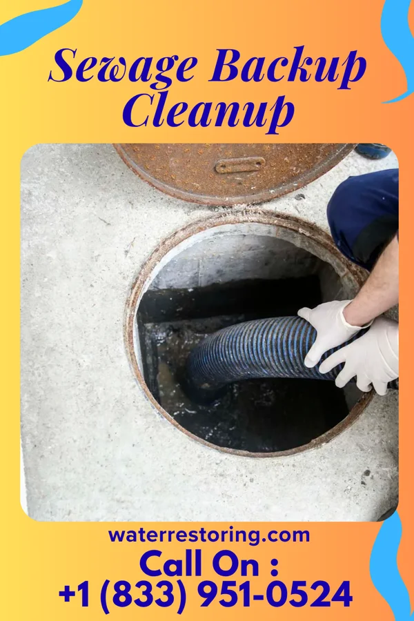 Sewage Backup Cleanup in Grafton, OH